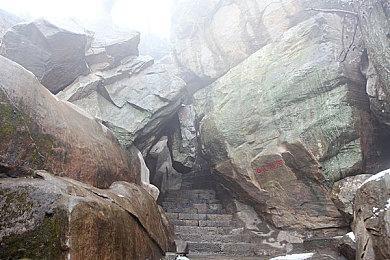 《命运2》圣人14法语配音演员Sylvain Lemarié去世